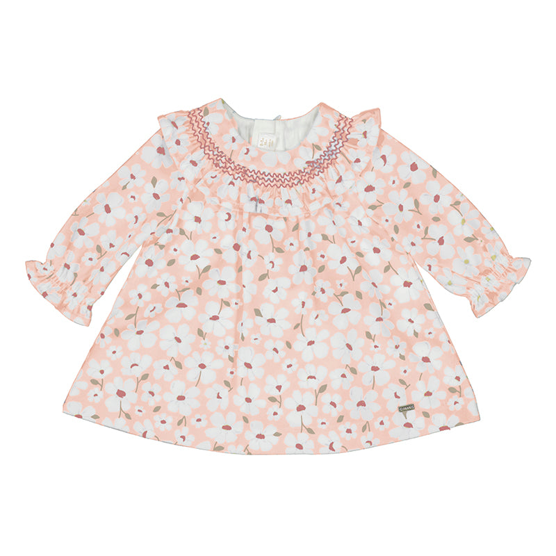 Rose Velvet Baby Dress