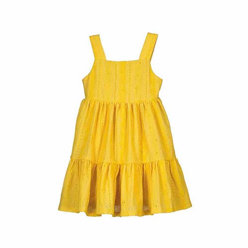 Honey Embroidered Sun Dress