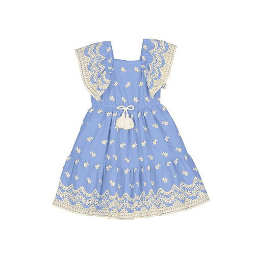 Blue Embroidered Flutter Sleeve Dress