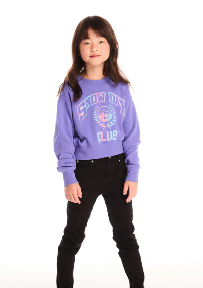 Snow Day Magic Purple Pullover