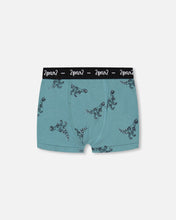 Load image into Gallery viewer, Organic Cotton Boxer Shorts 2-Pack