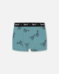 Organic Cotton Boxer Shorts 2-Pack