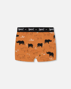 Organic Cotton Boxer Shorts 2-Pack