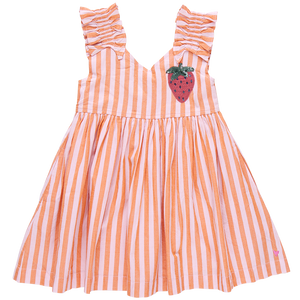 Orange Pink Stripe Via Dress