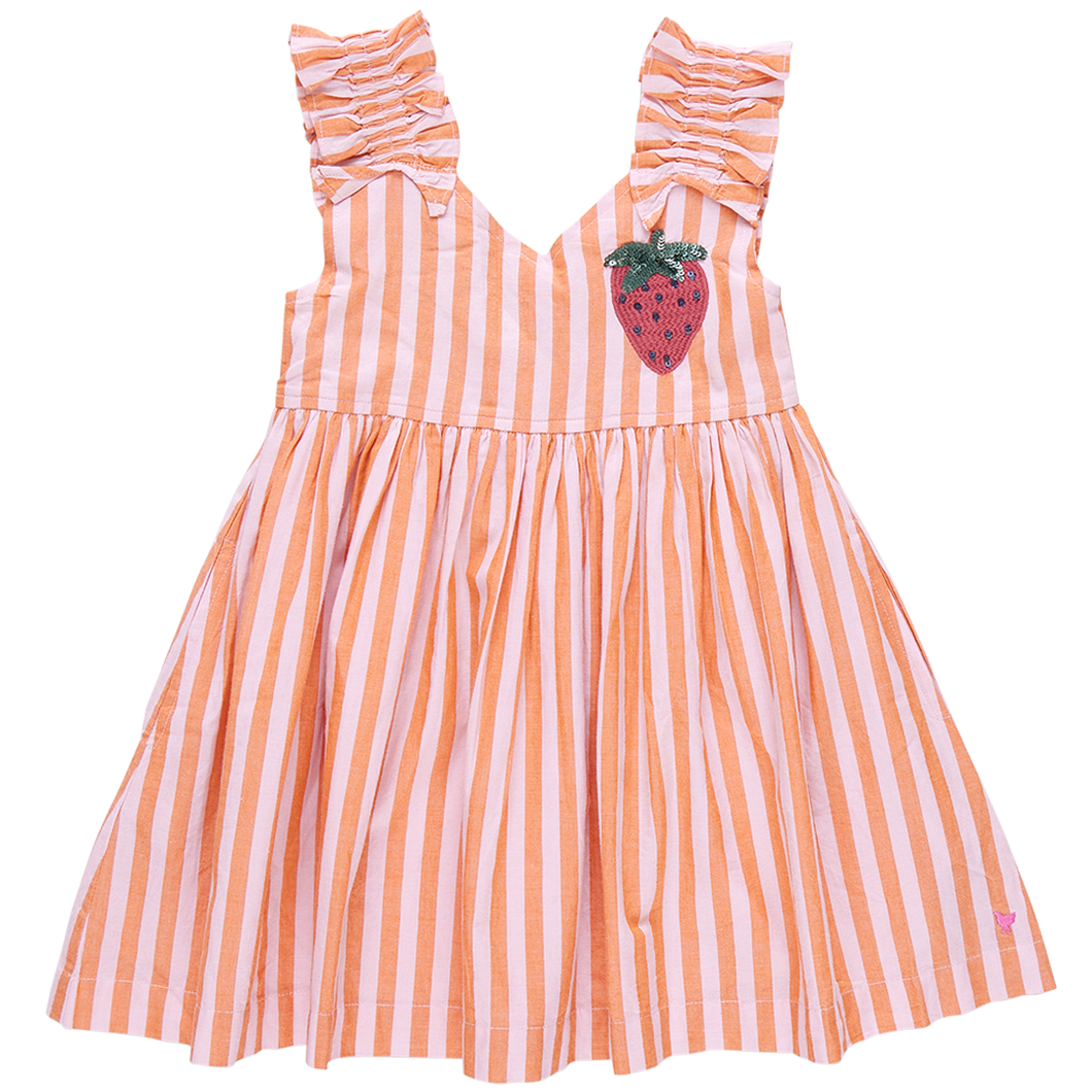 Orange Pink Stripe Via Dress
