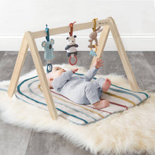Load image into Gallery viewer, Rainbow Wooden Play Gym Set