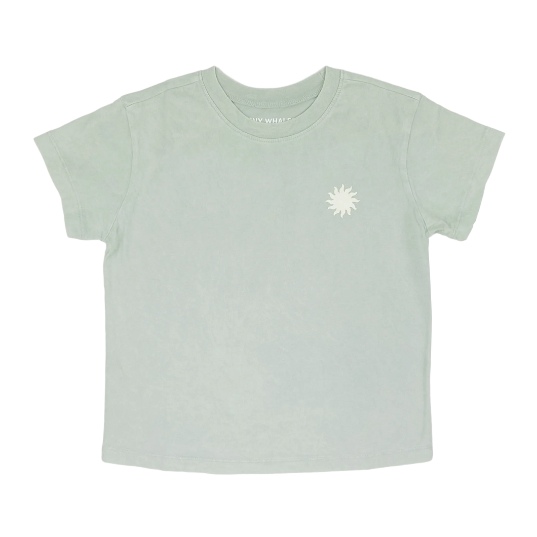 Mineral Springs Cactus Boxy Tee